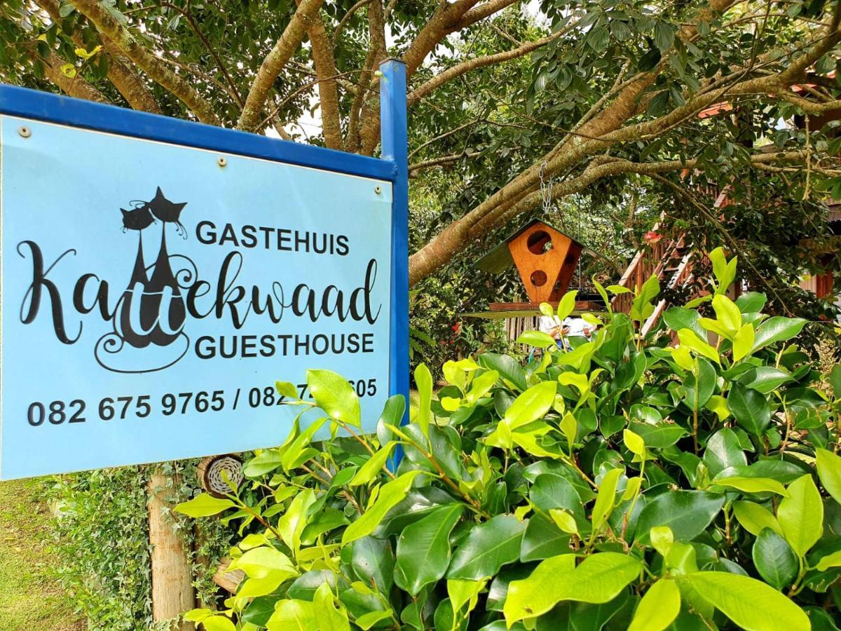 Kattekwaad Accommodation Kaapsehoop Exteriér fotografie