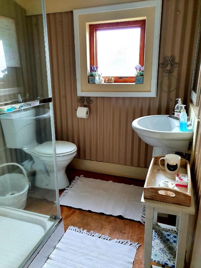 Kattekwaad Accommodation Kaapsehoop Exteriér fotografie
